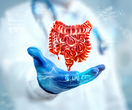 Medical Gastroenterology And GI Endoscopy