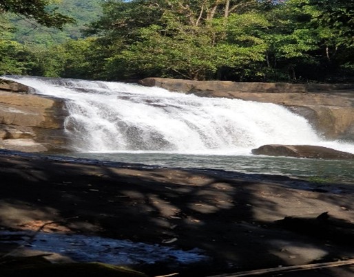 Thommankuthu Waterfalls 