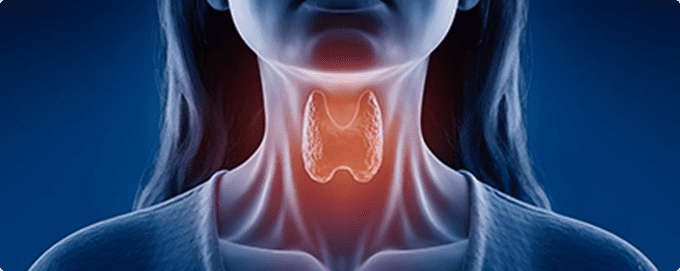 Thyroid Parathyroid Update 2025