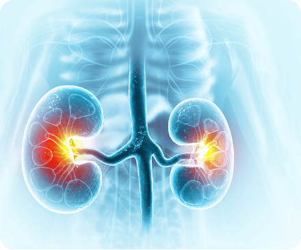 Urology
