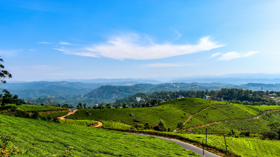 Munnar