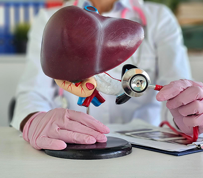 Liver Transplant: Complete Guide to Procedure, Costs, Risks & Post-Transplant Life 